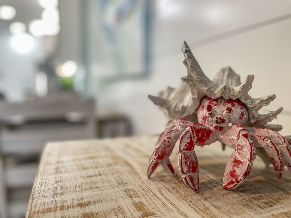 Red Crab on a Table